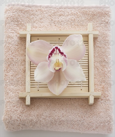 Still life of orchid on terry cloth.