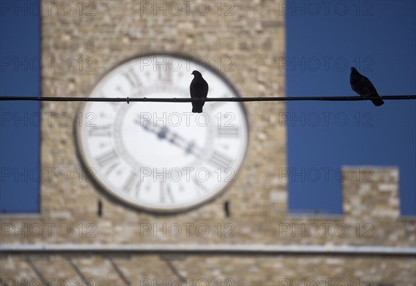 Clock face of the Palazzo Vecchio Florence Italy.