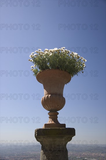 Flower pot Florence Italy.