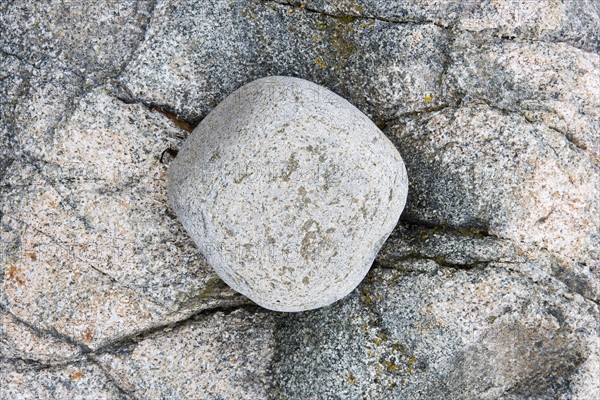 Boulder on the Maine coast.