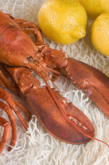 Still life of lobster and lemons.