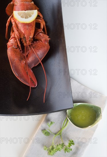 Still life of a lobster.