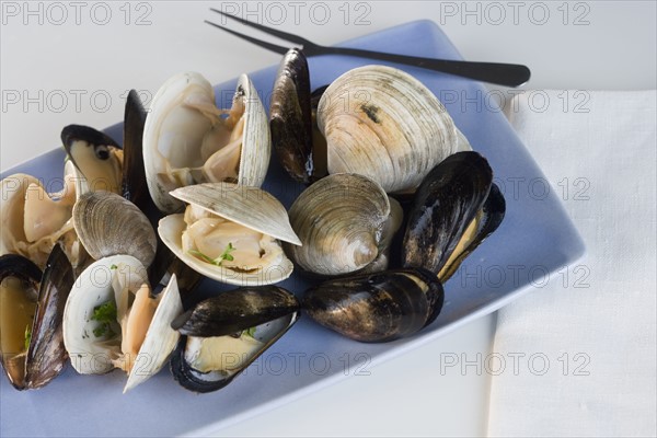 Still life of clams.