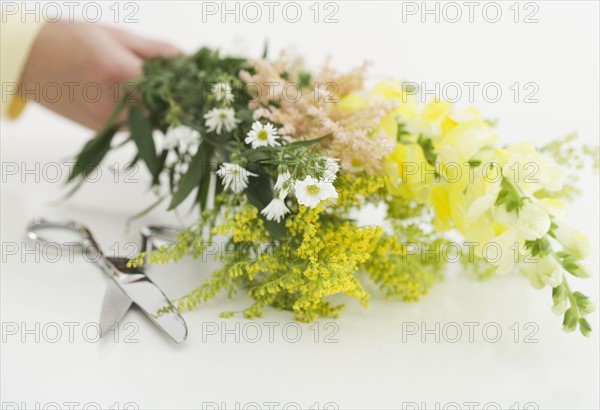 Freshly cut flowers.