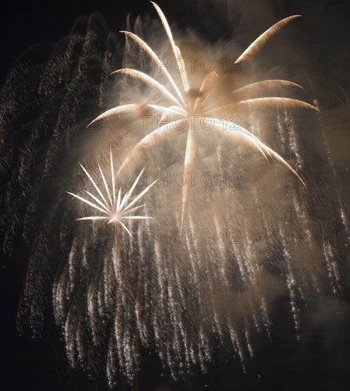 Fireworks in the night sky.