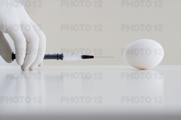 Gloved hand giving injection to egg.
