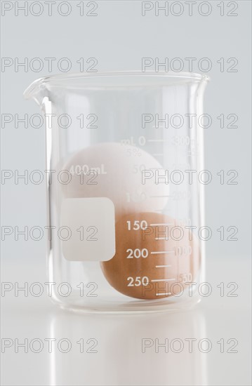 Eggs in glass beaker.