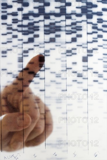 Hand pointing at DNA transparency.