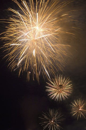 Fireworks in the night sky.