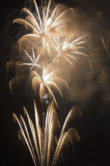 Fireworks in the night sky.