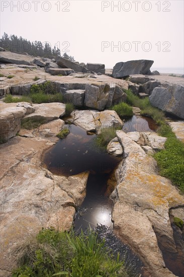 Rocky Maine coast in Acadia National Park.