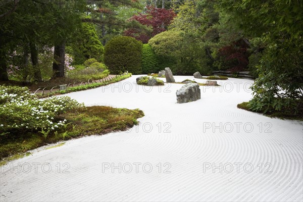 Zen garden.