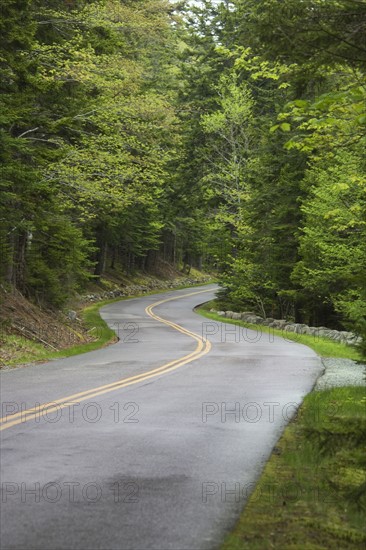 Country road in Maine.