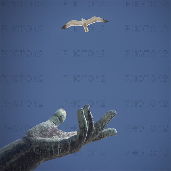 Hand of statue with flying bird.