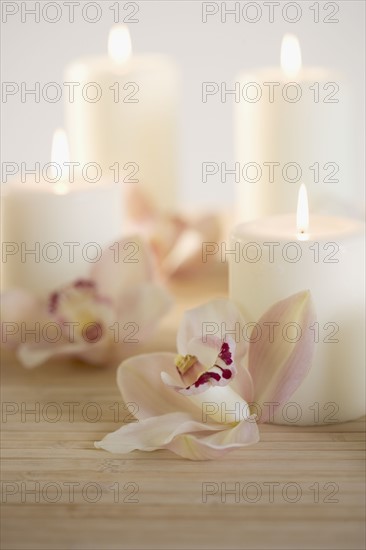Still life of orchids and candles.
