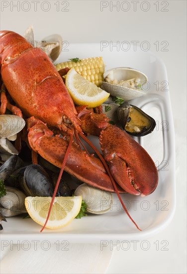 Still life of lobster and clams.