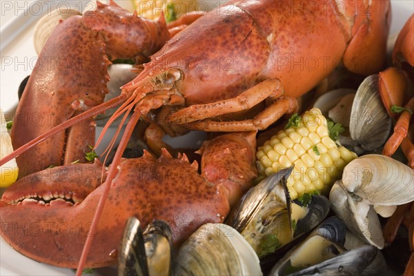 Still life of lobster and clams.