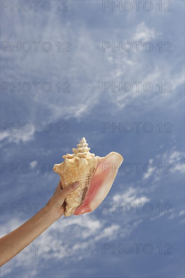 Hand holding conch shell with sky.