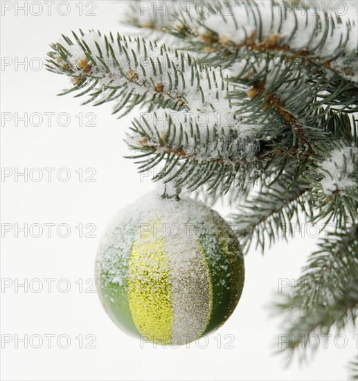 One Christmas ornament hanging in tree.