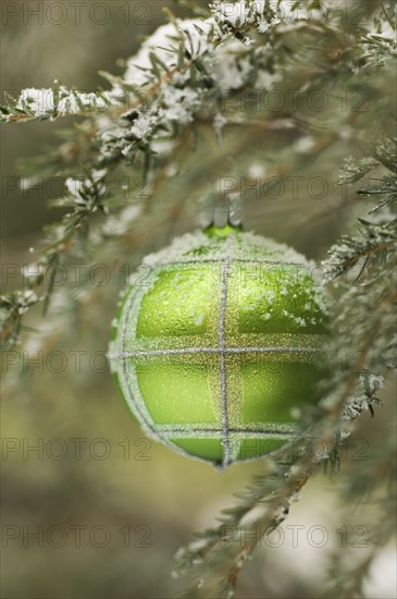 One Christmas ornament hanging in tree.