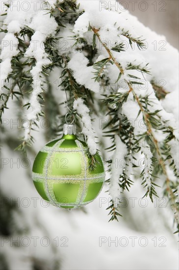 One Christmas ornament hanging in tree.