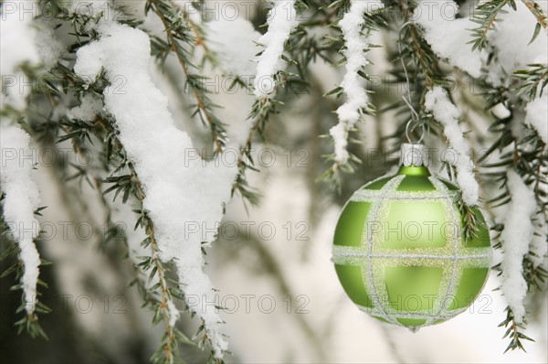 One Christmas ornament hanging in tree.