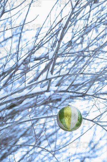 One Christmas ornament hanging in tree.