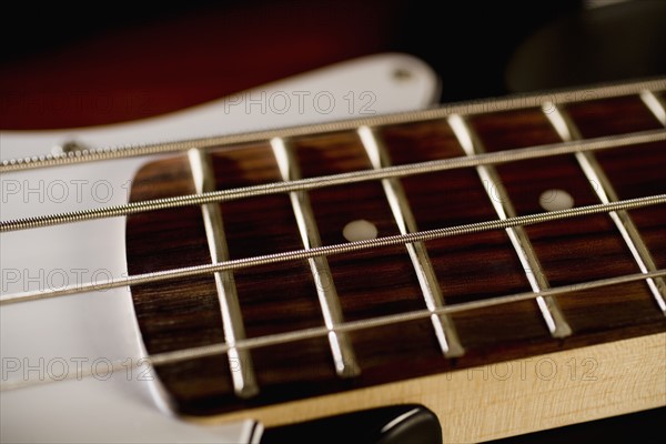 Strings on a bass guitar.