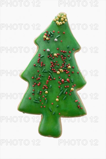 Studio shot of Christmas tree cookie.