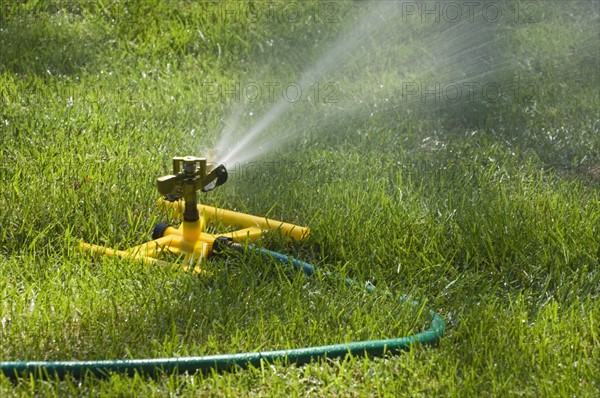 Sprinkler on a green lawn.