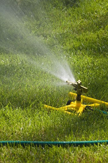 Sprinkler on a green lawn.