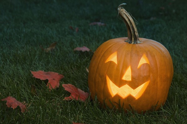 Still life of jack o lantern.