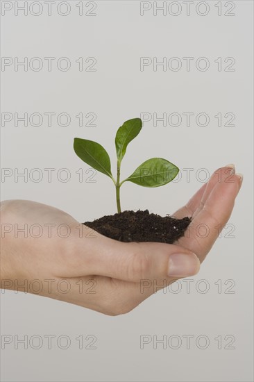 Woman holding seedling.