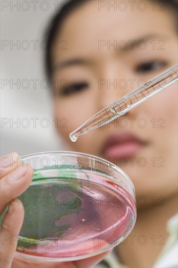 Scientist looking at a Petri dish.