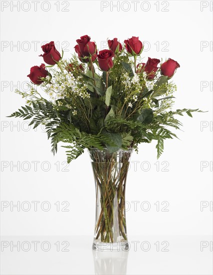 Still life of red roses.