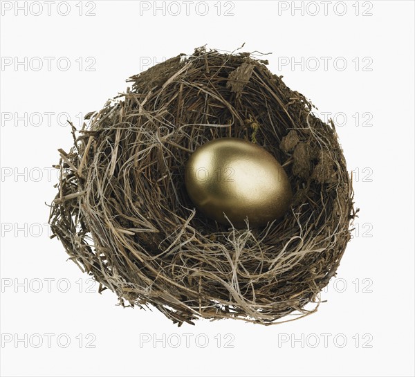 Studio shot of nest with golden egg.