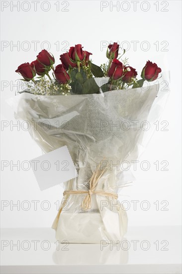 Still life of red roses.