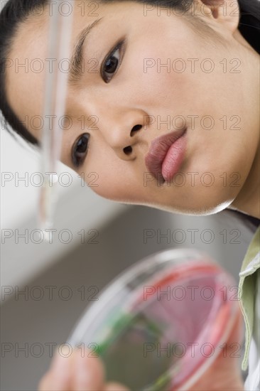 Scientist looking at a Petri dish.