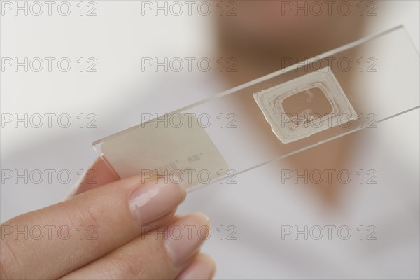 Hands holding microscope slide.