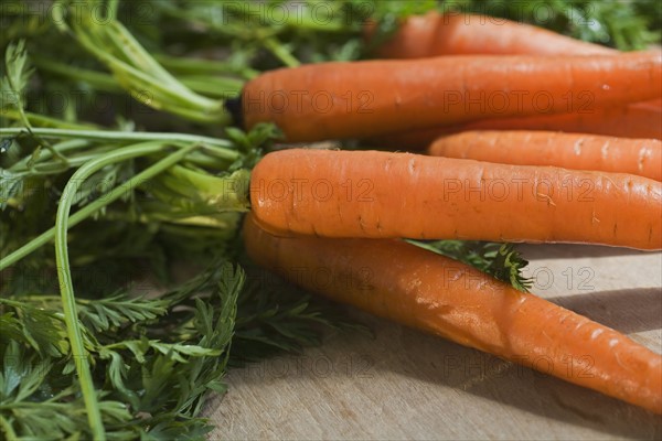 Close up of carrots with the greens attached.