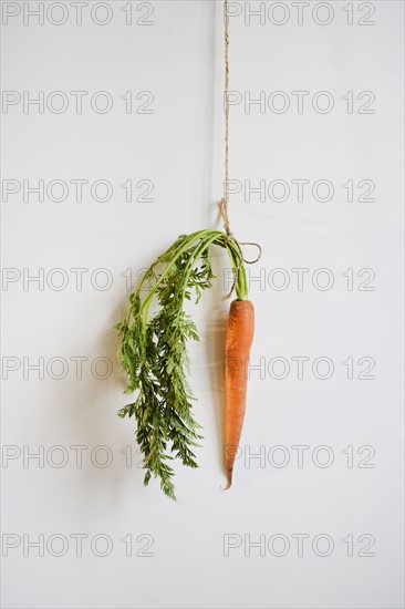 Studio shot of carrot hanging by string on the wall.