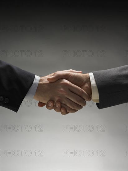 Two men shaking hands.