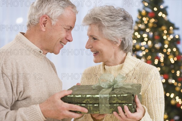Senior couple holding Christmas gift.