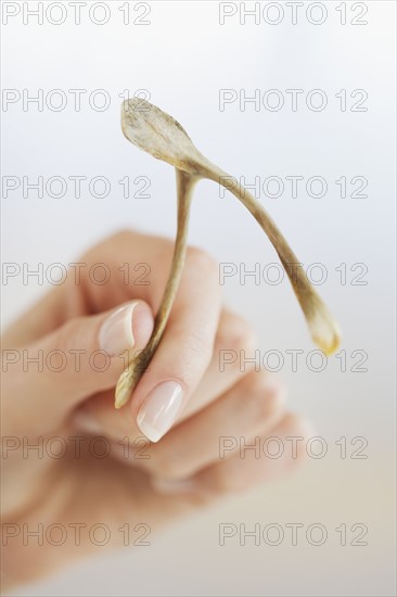 Close up of woman holding wishbone.