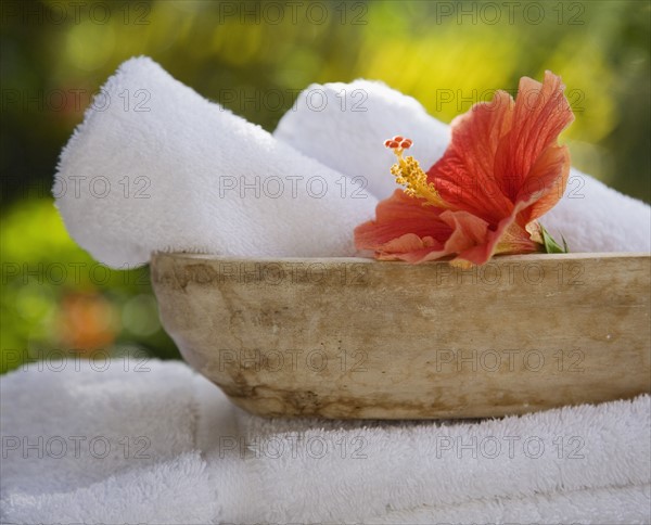 Bowl with rolled towels and flower.