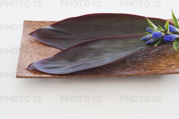 Leaves and flowers on wooden tray.
