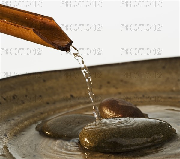 Water pouring out of plant stalk into bowl with stones.