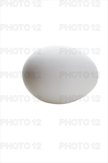 Close up of chicken egg.