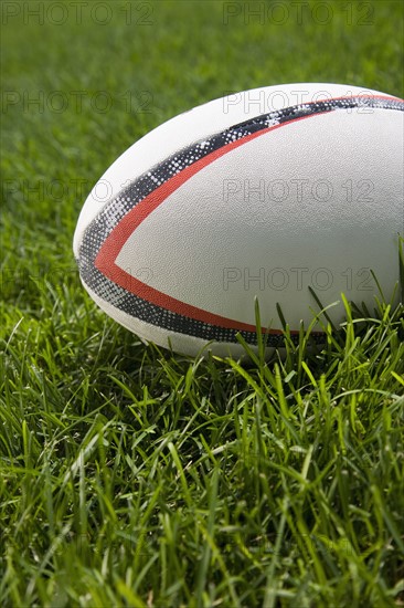 Close up of ball in grass.
