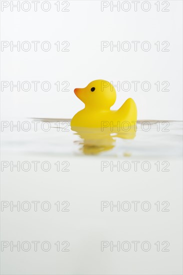 Rubber duck toy in water.